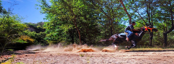 2228/The Kikar Lodge - Kangar 22.jpg